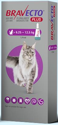 一錠除PLUS-全效貓用滴劑6.25~12.5KG 除 跳蚤 壁蝨 心絲蟲 體內外驅蟲 12週用一次,忠愛動物醫院